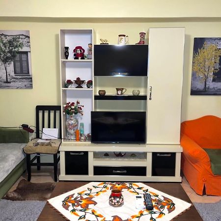 Blue Guesthouse Gjirokastër 外观 照片