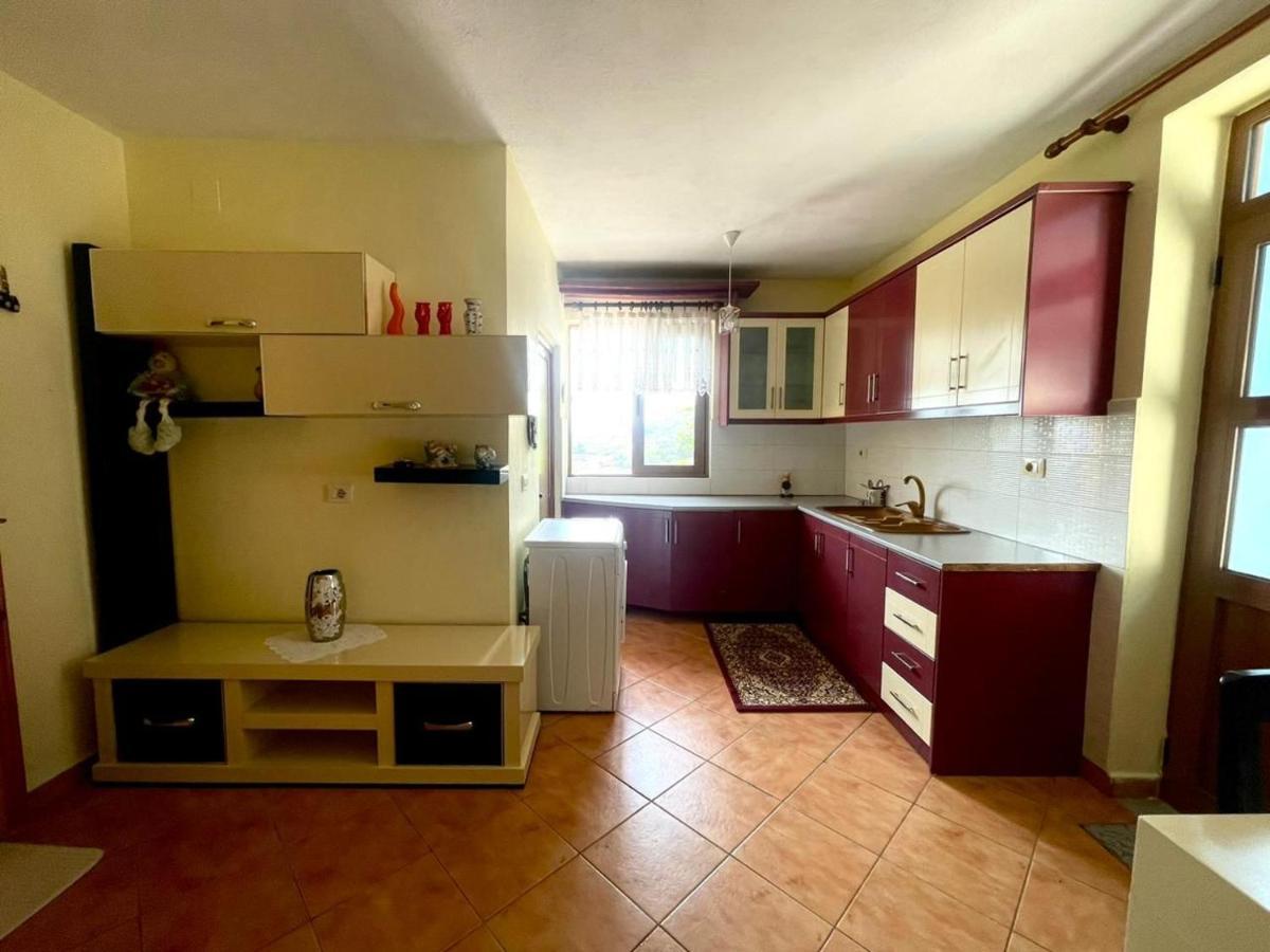 Blue Guesthouse Gjirokastër 外观 照片